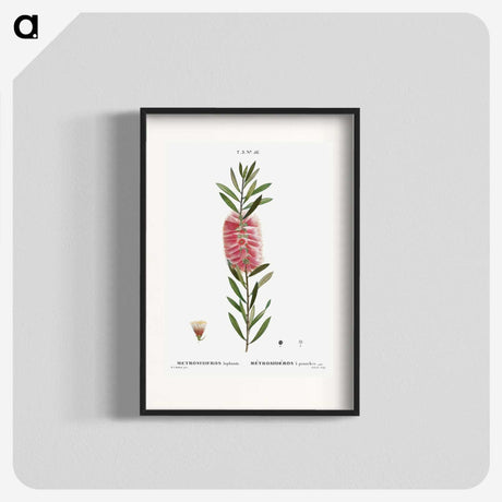 2-52_Treatise-on-Trees-and-Shrubs_blk