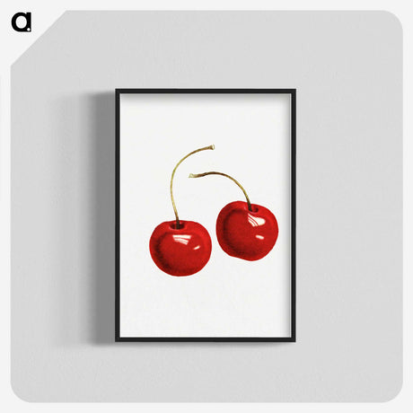 2-52_USDA-Watercolor-Fruit-Painting-Collection_blk-crop