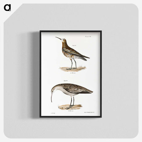 2-52_Zoology-of-New-York_blk-crop