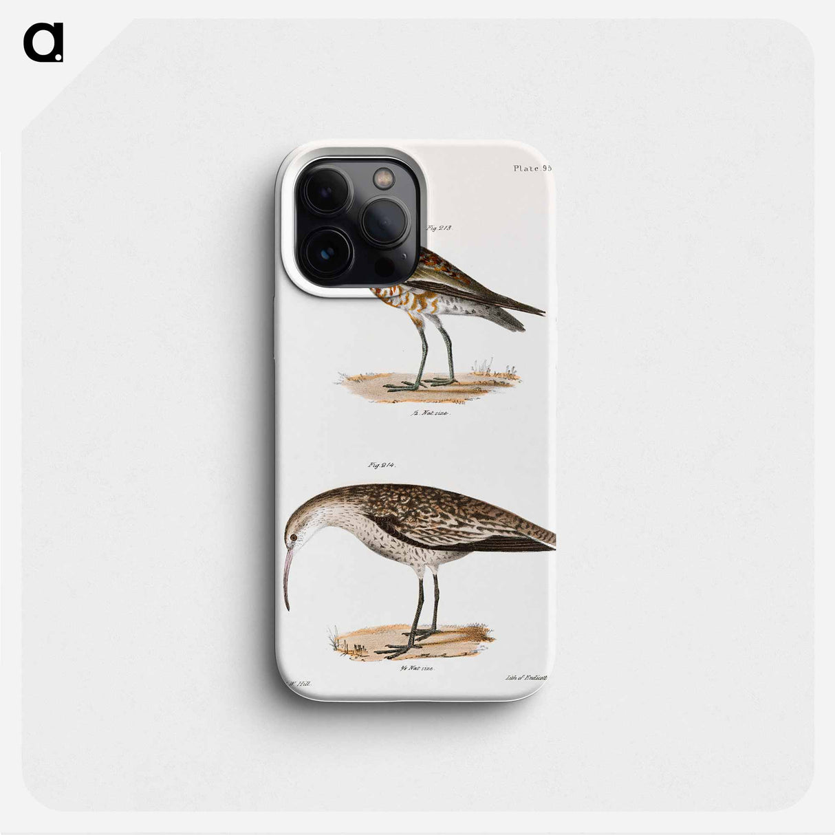 Curlew Sandpiper - ニューヨークの動物学 Phone Case.