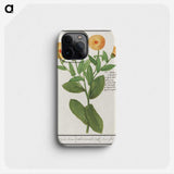 2-53_Anselmus-Boetius-de-Boodt_phone