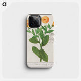 Marigold, Calendula officinalis - アンセルムス ボエティウス デ ブート Phone Case.