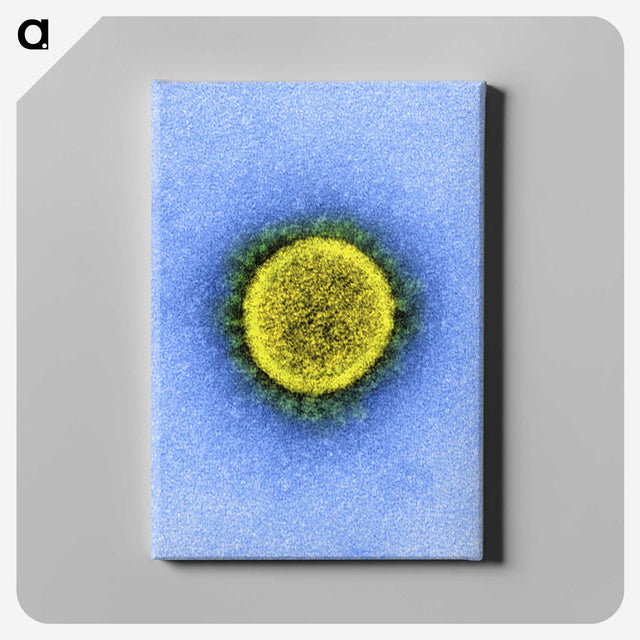 2-53_COVID-19_canvas