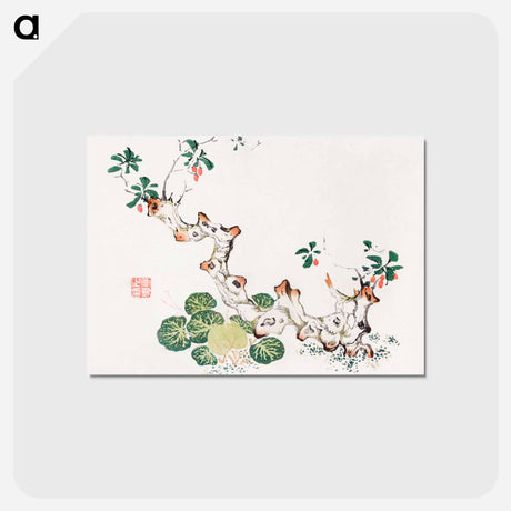 アートポストカード-Branching Stump
 - クリーブランド美術館 Postcard.