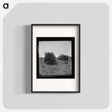 Untitled photo - Dorothea Lange Poster.