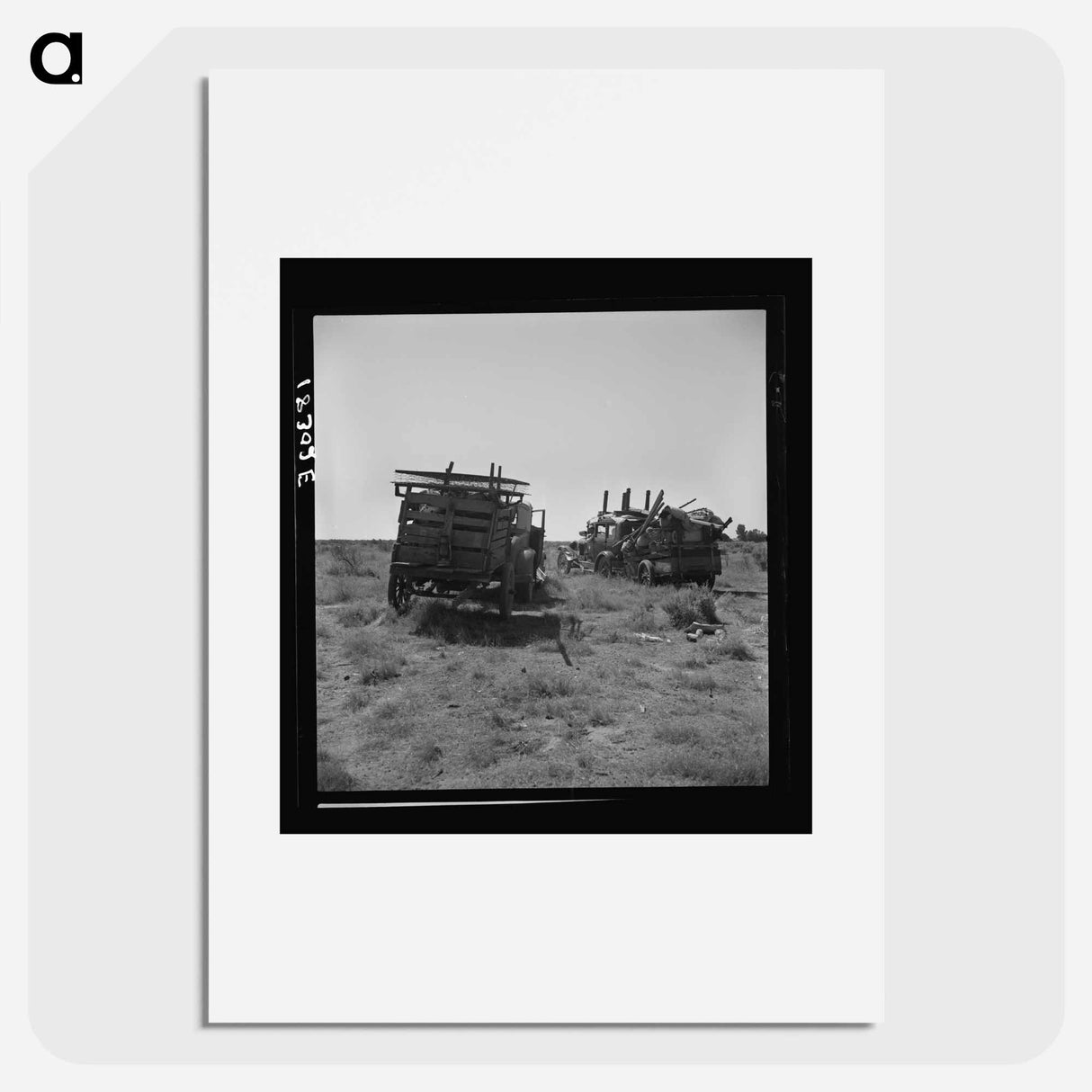 Untitled photo - Dorothea Lange Poster.