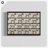 2-53_Eadweard-Muybridge_blk-crop
