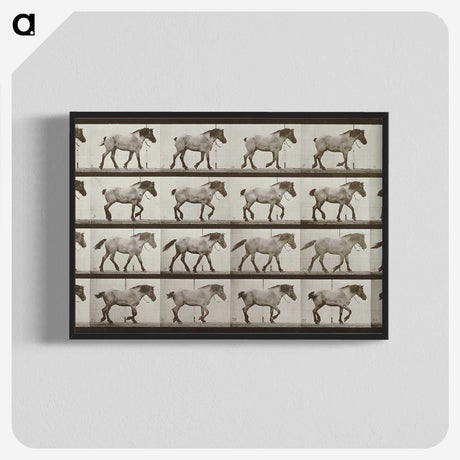 2-53_Eadweard-Muybridge_blk-crop