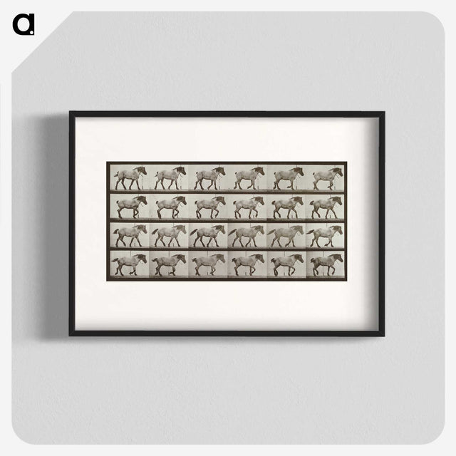 2-53_Eadweard-Muybridge_blk