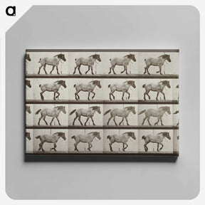 2-53_Eadweard-Muybridge_canvas