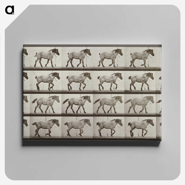 2-53_Eadweard-Muybridge_canvas