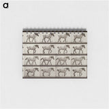 アートメモ帳-Belgian Horse Walking
 - エドワード マイブリッジ Memo.