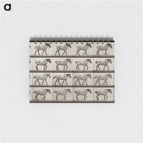 アートメモ帳-Belgian Horse Walking
 - エドワード マイブリッジ Memo.