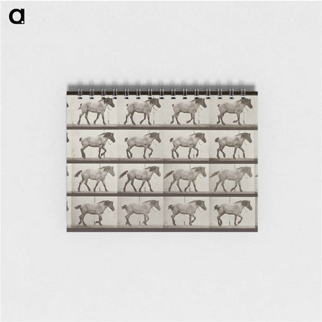 アートメモ帳-Belgian Horse Walking
 - エドワード マイブリッジ Memo.