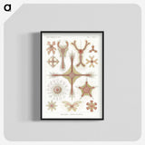 2-53_Ernst-Haeckel_blk-crop