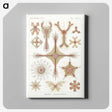 2-53_Ernst-Haeckel_canvas