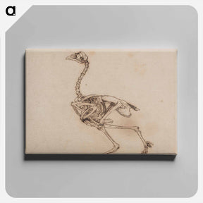 アートパネル-Dorking Hen Skeleton
 - ジョージ スタッブス Canvas.