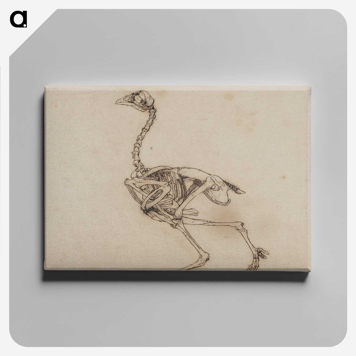 2-53_George-Stubbs_canvas