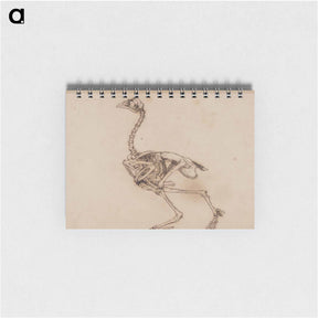 アートメモ帳-Dorking Hen Skeleton
 - ジョージ スタッブス Memo.