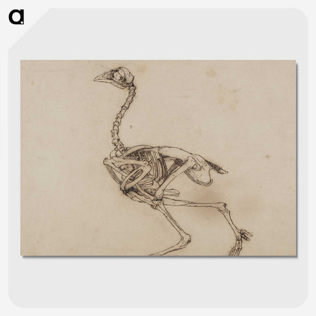 2-53_George-Stubbs_picture-crop