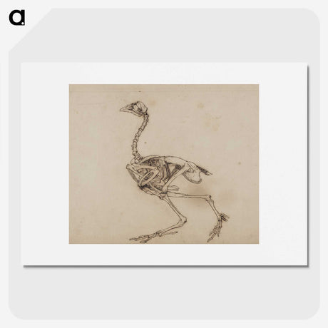 2-53_George-Stubbs_picture