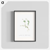 2-53_Histoire-des-Plantes-Grasses_blk