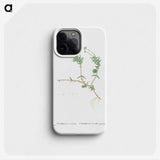 2-53_Histoire-des-Plantes-Grasses_phone