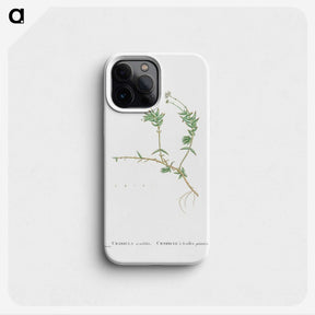 2-53_Histoire-des-Plantes-Grasses_phone