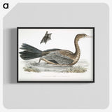 2-53_Indian-Zoology_blk-crop