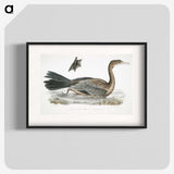 2-53_Indian-Zoology_blk