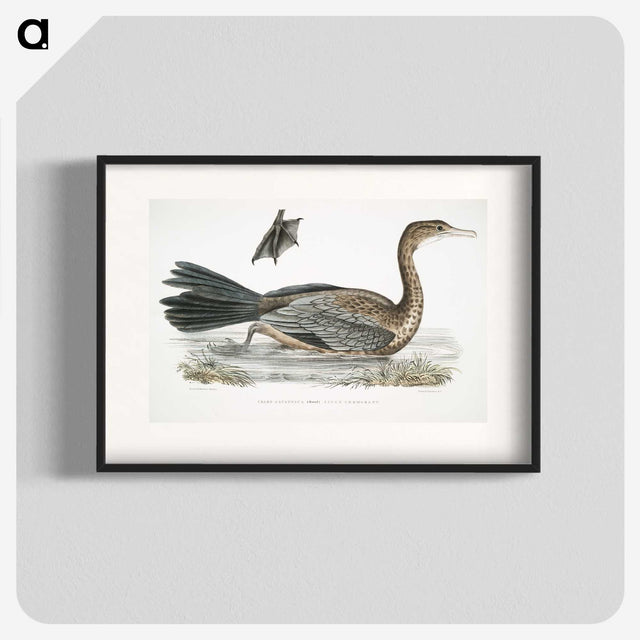 2-53_Indian-Zoology_blk