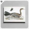 2-53_Indian-Zoology_canvas