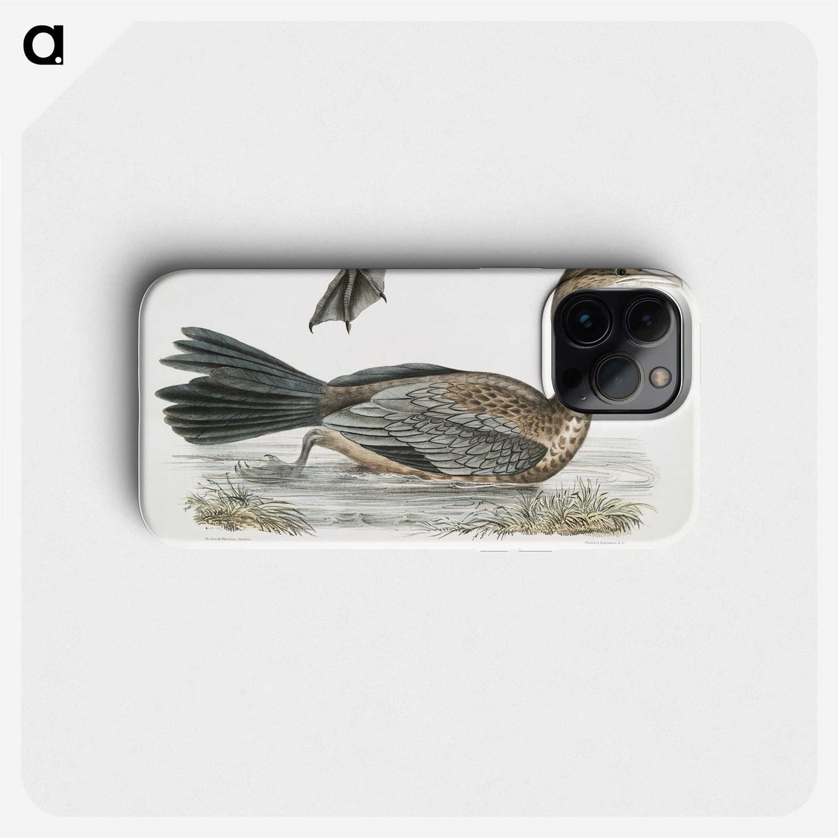 2-53_Indian-Zoology_phone