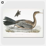 2-53_Indian-Zoology_picture-crop