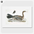 2-53_Indian-Zoology_picture