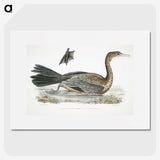 2-53_Indian-Zoology_picture
