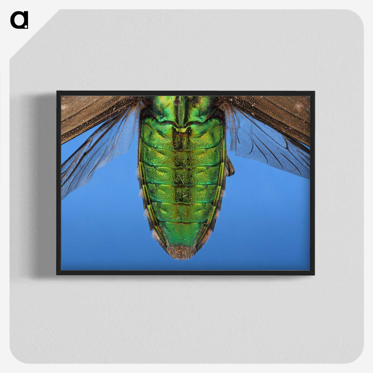 2-53_Insects-Unlocked-Project_blk-crop