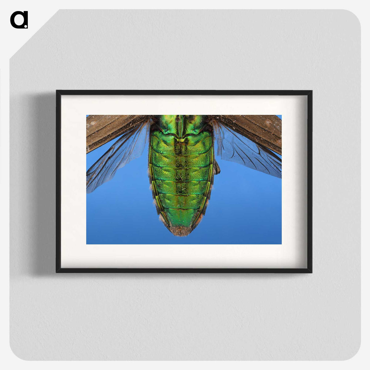 2-53_Insects-Unlocked-Project_blk
