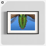 2-53_Insects-Unlocked-Project_blk
