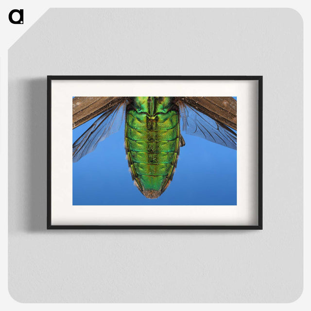 2-53_Insects-Unlocked-Project_blk