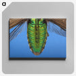 2-53_Insects-Unlocked-Project_canvas