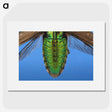 2-53_Insects-Unlocked-Project_picture