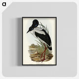 2-53_John-Gould_blk-crop