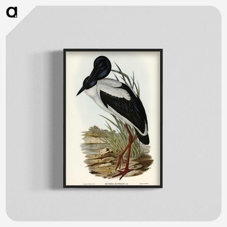 2-53_John-Gould_blk-crop