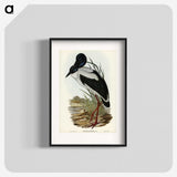 2-53_John-Gould_blk