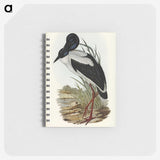2-53_John-Gould_memo