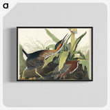 2-53_John-James-Audubon_blk-crop
