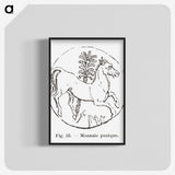 2-53_Les-Palmiers-Histoire-Iconographique_blk-crop