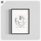 2-53_Les-Palmiers-Histoire-Iconographique_blk