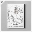 2-53_Les-Palmiers-Histoire-Iconographique_canvas